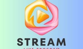 Colorful Abstract Illustrative Stream Studio Logo