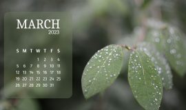 Green White Minimalist Leaves March Calender 2023 Desktop Wallpaper